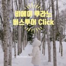 멍멍이를 부탁해 | 삿포로 비에이 버스 투어｜내돈내산 흰그림자 후기