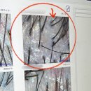영등포 두피탈모관리 | 탈모약 먹는 20대 여자의 닥터모락 당산점 지루성염증두피 케어 후기