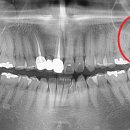 본정치과의원 이미지