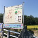 황산벌참살이마을 이미지