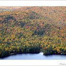 고원(주) 이미지