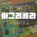 무수농장 | 4명 보드게임) 아그리콜라 후기(전략 보드게임 추천)