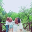 [국내여행] 춘천 가볼만한곳 제이드가든 수목원🌿 | 춘천명동닭갈비골목