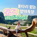 경순목장 네이버블로그