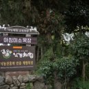 퍼시픽 농장 네이버블로그