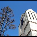 글로벌빌리지 이미지