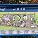 원주치악체육관 다목적경기장 이미지