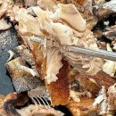 속초맛집이화 이미지