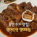 명태인생 용인중앙점 | 용인 수지 외식타운 또간집 맛집 명태인생 내돈내산