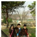 나무그늘 포토타임 이미지