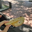 올림픽로 92길 | 난 한놈만 패_올리브치아바타🫒