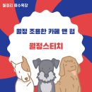제주 동쪽 월정리 해수욕장 근처 가볼 만한 곳 - 월정 조용한 카페&amp;펍, 월정스티치