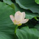 옥동태양광발전소 이미지