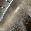 The멍멍 | 신라호텔 다이너스티홀 결혼식 후기 Feat. The only ONE