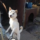 봇또랑낚시터 이미지