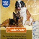 도담동물약국 이미지