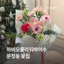 세븐일레븐문정하비오2호점 | 문정동 꽃집 센스 있는 선물 하비오플라워바이수