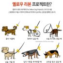 리본프로젝트 네이버블로그