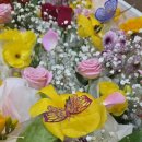 안성장례식장 이미지