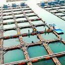 수진좌대2 이미지