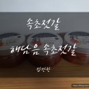 막창도둑속초점 | 속초젓갈 [해담음] 속초젓갈 3종 밥반찬 최고!