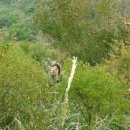 종주농장 이미지