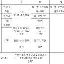 킹덤키즈 이미지