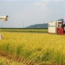 부안농협미곡종합처리장 이미지