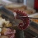 삼척여행을담다