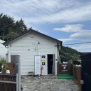 (주)힐링펫 이미지