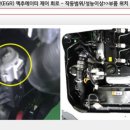 카데렐라 이미지