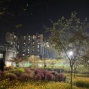 응봉체육공원 이미지