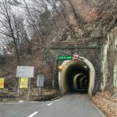 똥개애견카페