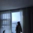 (주)배드브이알 | 강릉호텔 _ 강릉에서 핫한 호텔 탑스텐 온천, 아쿠아파크까지 있는 오션뷰호텔!! (4성급)