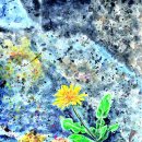 창조자원 이미지