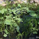 토담민박 이미지