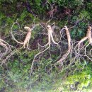 명현농장 이미지