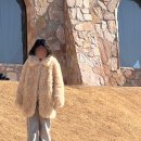 더 퍼(The per) | the Barnnet | 더바넷 패티 퍼 코트 실착 후기