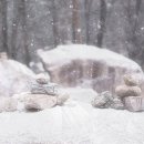 라탄소품만들기 이미지