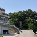 [강원도 고성_카페 백촌리] 애플망고빙수로 유명한 집(48,000원 망고빙수 솔직 후기)