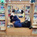 완주군립 콩쥐팥쥐도서관 이미지