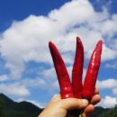 건이농장 이미지