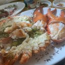 포차갈매기 이미지