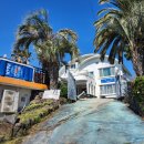 제주 장미여관 이미지