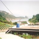 세포마을 경로당 Daum카페