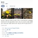 태봉골프연습장 | 여주 캐슬파인cc) 신호등있는 블라인드홀 도전재미 쏠쏠~ 조식포함 그린피 혜자^^