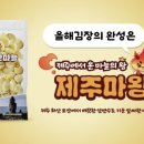담은제주법인