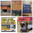 청송(영덕) | 안동누수 청송누수 영덕누수탐지 빠르고 정확한 누수 해결 업체