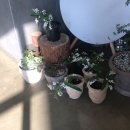 진현농장 | M a : u a 오픈 후 있었던 일