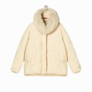 아일랜드코쿤 이미지